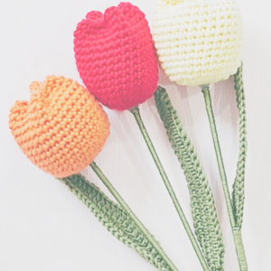 Häkel-Workshop – Gehäkelte Tulpen (Teens & Erwachsene)